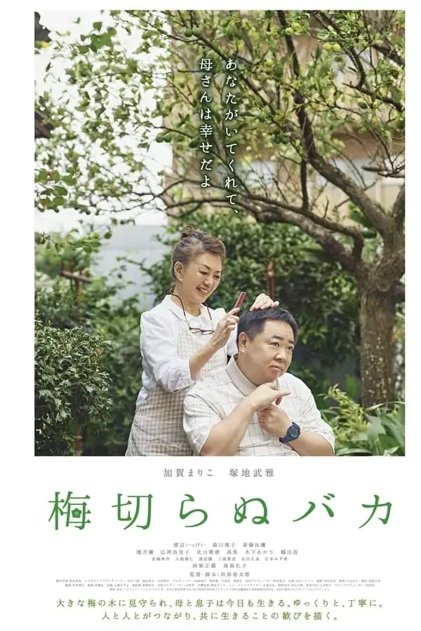 The Lone Ume Tree {梅切らぬバカ}