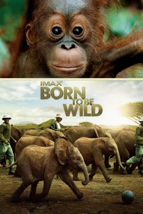 Born to Be Wild | มหัศจรรย์ชีวิตป่า