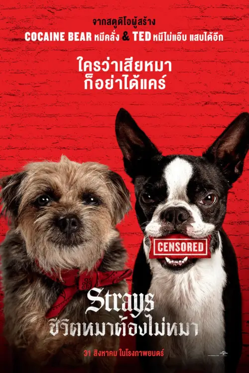 Strays | ชีวิตหมาต้องไม่หมา