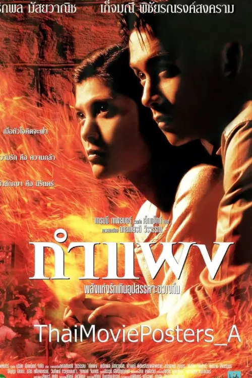 กำแพง | The Wall