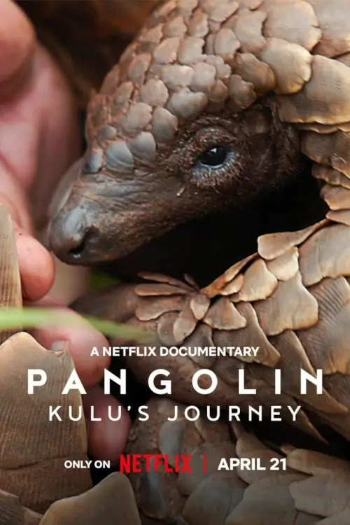 Pangolin: Kulu's Journey | Pangolin: การเดินทางของคูลู