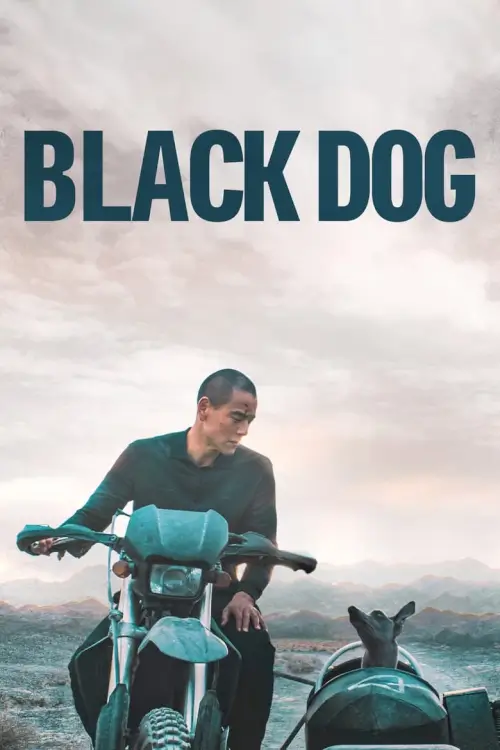 Black Dog (狗阵) |  สี่ขาหัวใจไม่ดำ