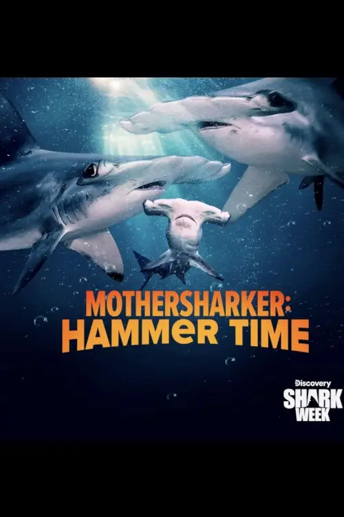 Mothersharker: Hammertime | มาเธอร์ชาร์กเกอร์: ปฏิบัติการฉลามหัวค้อน