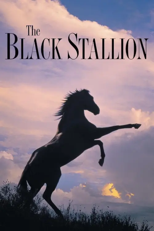 The Black Stallion | อาชาเพื่อนยาก