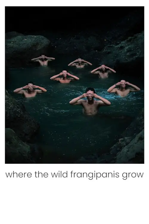 Where the Wild Frangipanis Grow | ที่ที่ลีลาวดีเบ่งบาน