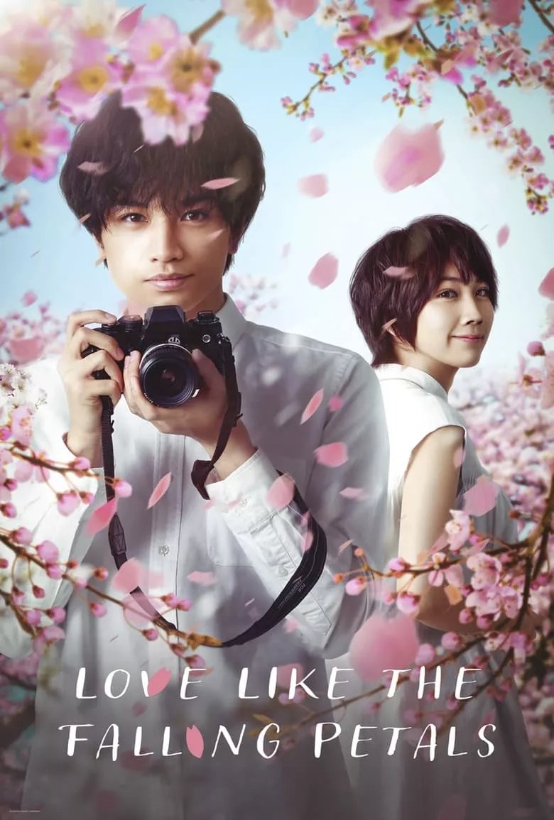 Love Like the Falling Petals ใบไม้ผลิที่ไม่มีเธอเป็นซากุระ
