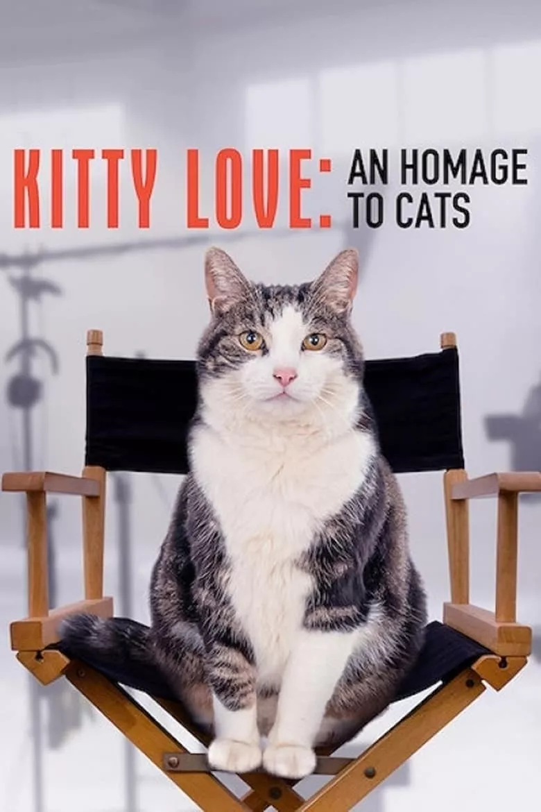 Kitty Love: An Homage to Cats | ความรักแมวๆ แด่น้องเหมียว