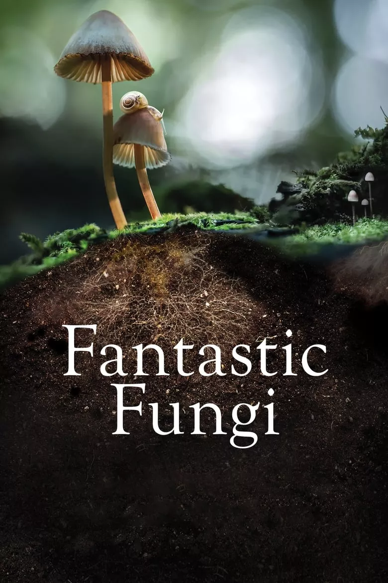 Fantastic Fungi | เห็ดมหัศจรรย์
